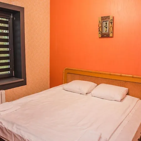Guest house Active